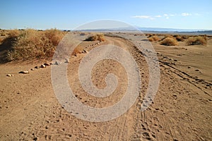 Desert road in the archaeological site of Aldea de Tulor, Atacama Desert, Chile photo