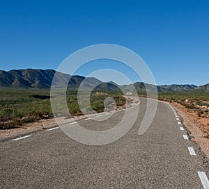 Desert road in early spring