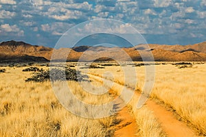 Desert road Namibia