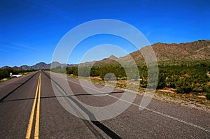 Desert Road Sonora desert Arizona