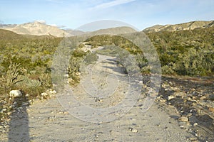 Desert road in spring at Coyote Canyon, Anza-Borrego Desert State Park, near Anza Borrego Springs, CA