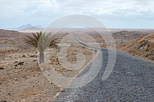 Desert road to nowhere on Boa Vista, Africa