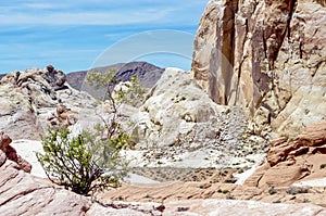 Desert Rock Formations, Valley of Fire State Park, Nevada, USA