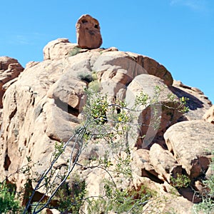 Desert Rock Formations, Valley of Fire State Park, Nevada, USA