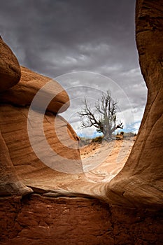 Desert Rocks and Storm