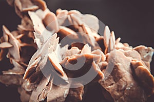 Desert rose crystal isolated on black background