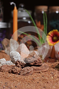 Desert Rose Rocks With Quartz Crystals on Australian Red Sand