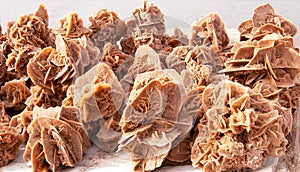 Desert rose, rose-like formations of crystal clusters of gypsum or baryte which include abundant sand grains in Sahara desert