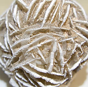 Desert rose rosette crystal closeup