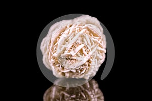 Desert rose or sand rose, black background, healing stone