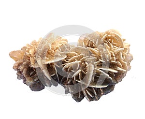 Desert Rose Selenite Gemstone. Layered, white and brown