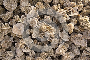 Desert roses - texture