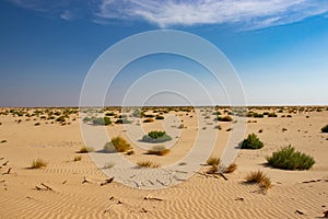 Desert of Rub al Khali or Empty Quarter photo