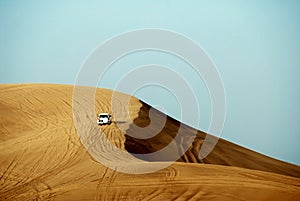 Desert Safari