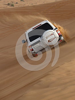 Desert Safari in Action