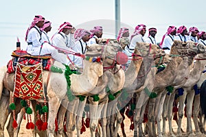 Desert safari camel ride festival in Abqaiq Dammam Saudi Arabia.This Photo was taken Month of January 4th Year 2020