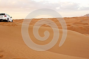 Desert Safari in great Sand Dunes