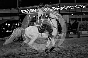 Desert safari horse ride festival in Abqaiq Dammam Saudi Arabia.This Photo was taken Month of January 10th Year 2020