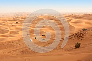 Desert safari near Dubai. UAE