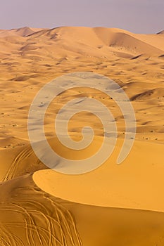 Desert Sahara with beautiful lines and colors at sunrise. Merzouga, Morocco photo