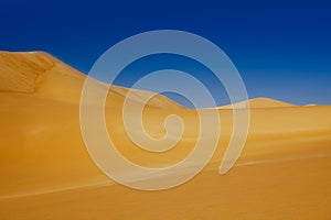 Desert Sahara dunes, Egypt