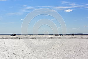 Desert Salt lagoon,Dunaliella
