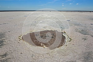 Desert Salt lagoon,Dunaliella