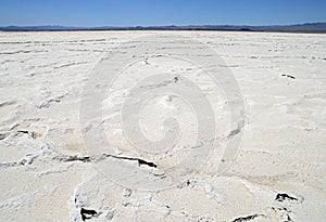 Desert salt pan