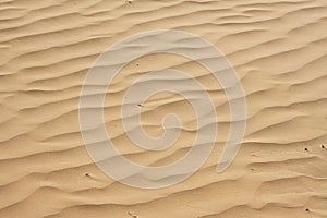 Desert sand