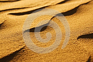 Desert sand close-up