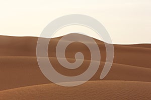 Desert Sand Dubai - United Arab Emirates - Middle East