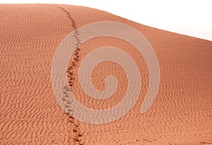 Desert sand dune, Maspalomas
