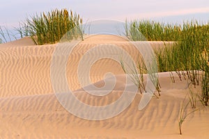 Desert sand dunes