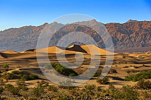 Desert Sand Dunes of Death Valley California