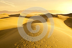 Desert Sand Dunes with golden light