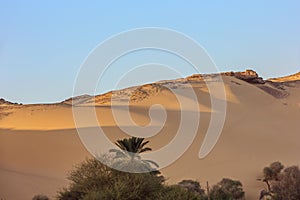 Desert sand dunes in a low evening sun near Jazirat Salujah photo