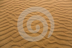 Desert sand dunes in Maspalomas Gran Canaria