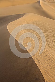 Desert sand dunes in Maspalomas Gran Canaria