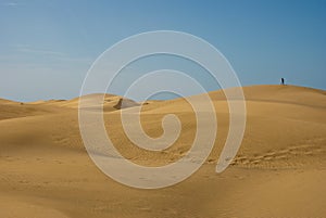 Desert sand dunes panorama