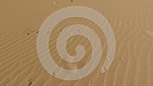 Desert sand dunes, sand grains, Corralejo Natural Park. Fuerteventura. Canary Islands