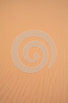 Desert sand ripples background