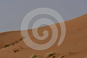 Desert sand and sand Dunes, in the heart of Saudi Arabia on the way to Riyadh