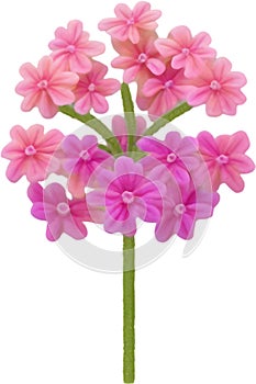 Desert Sand Verbena flower icon.