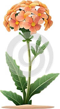 Desert Sand Verbena flower icon.