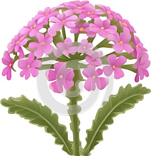 Desert Sand Verbena flower icon.