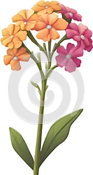 Desert Sand Verbena flower icon.