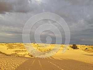 Desert sands in Kherson region in Ukraine.