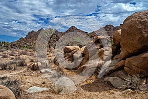 Desert Sandstone