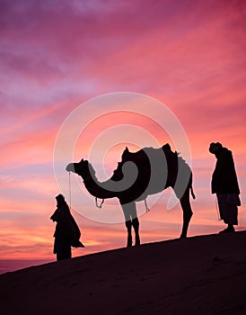 Desert scence with camel and dramatic sky
