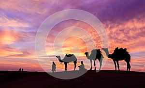 Desert scence with camel and dramatic sky